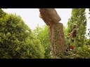 youtube - [Video]