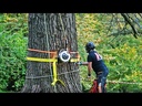 youtube - [Video]
