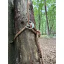 hands-up (4).webp