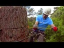 youtube - [Video]