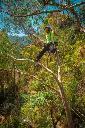 COURANT-CORDE-DE-RAPPEL-KOMORA-LIFESTYLE.webp
