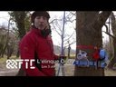 youtube - [Video]
