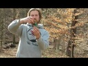 youtube - [Video]
