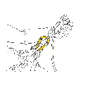 Rollclip Z-2.webp