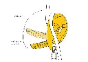 D020AA00-ID-S-focus-3_LowRes.webp