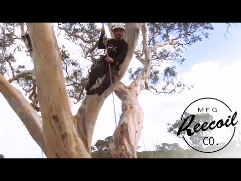 youtube - [Video]