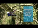 youtube - [Video]