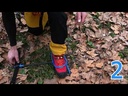 youtube - [Video]
