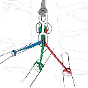 backbone4.webp