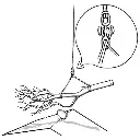 backbone3.webp