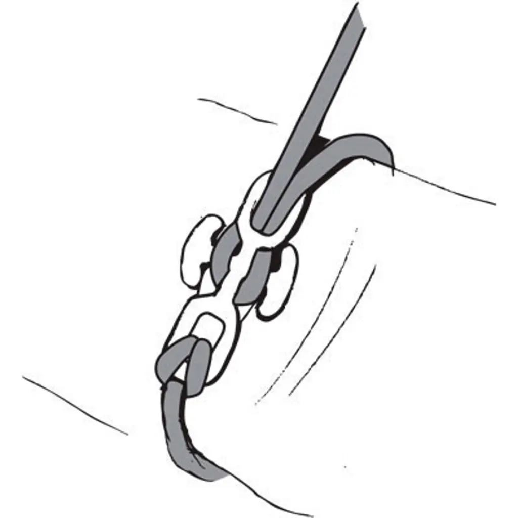 backbone2.webp