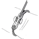 backbone2.webp