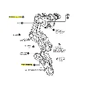 Vertec empl..webp