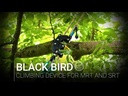 youtube - [Video]