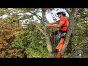 youtube - [Video]