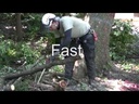 youtube - [Video]