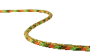 filters_format(webp)_quality(80).webp