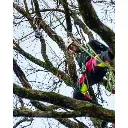 ftc-tree_donut_insitu_web-64.webp