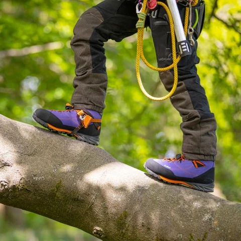 FORMATION MODULE 1 - Introduction au métier d'Arboriste