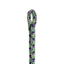 FTC Argiope EVO Berry 11.7MM