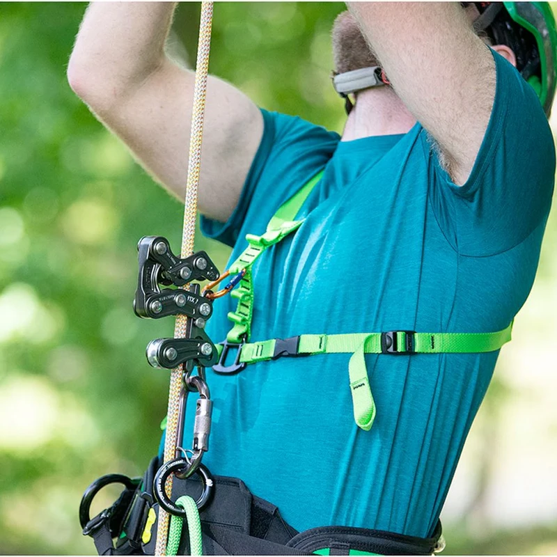 FORMATION MODULE 2 - Les bases du SRT | L'Arboriste